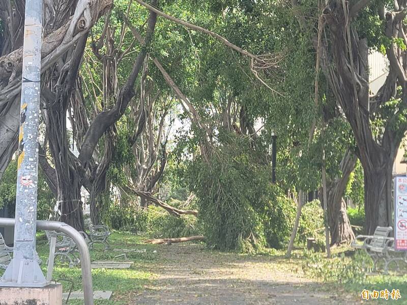 風災後公園內的樹木、樹枝倒塌嚴重。（記者葉永騫攝）