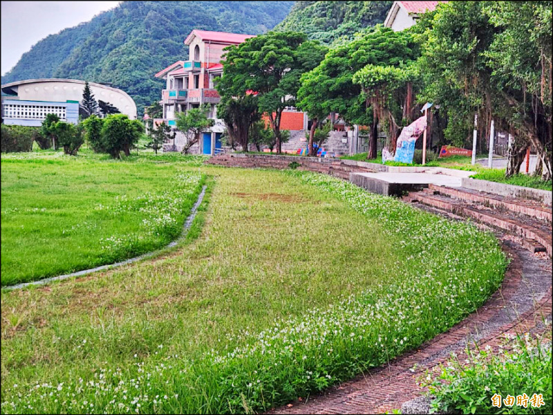 南安國中的跑道與操場雜草叢生，一片荒廢景象，被遊客質疑是廢校了嗎？（記者游明金攝）