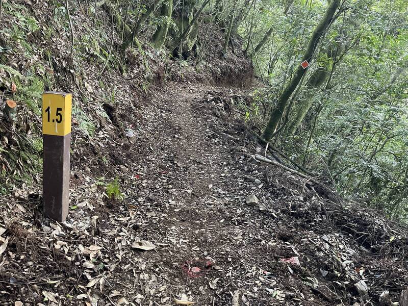 雲天宮入口路線目前進行整修，改善縱向坡度及適度增加寬度，希望減少山友步行時間及降低行走難度。（圖由林業保育署南投分署提供）