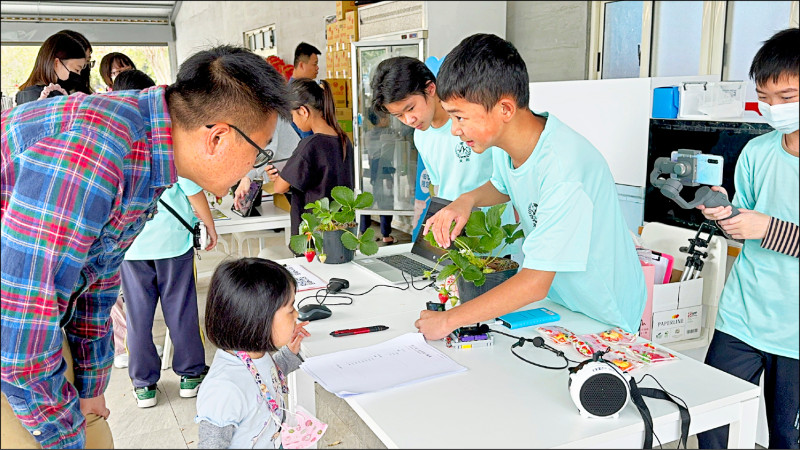 東興國小學生到果園與遊客互動，協助辨識果實是否已成熟。（校方提供）