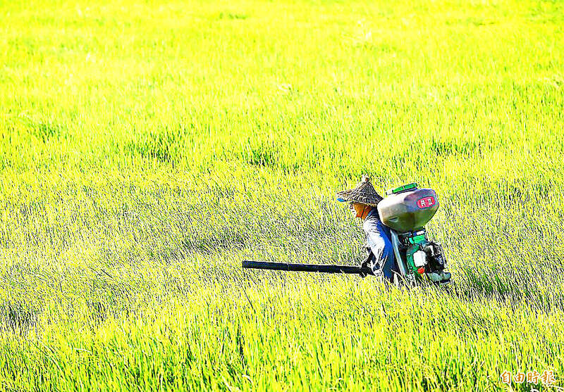 A farmer works in a field in an undated photograph.
Photo: Chu Pei-hsiung, Taipei Times