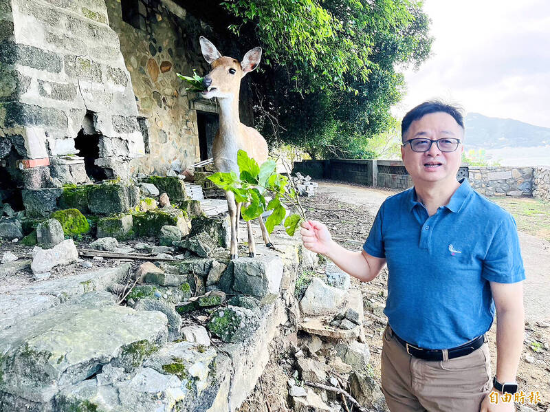 Straits Exchange Foundation Secretary-General Luo Wen-jia feeds a Formosan sika deer on Lienchiang County’s Daciou Island yesterday.
Photo: Chen Yu-fu, Taipei Times