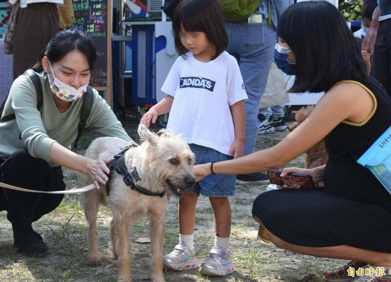 高雄市登記在案的家犬貓數量高達39萬隻，卻僅有6間寵物長照機構。（資料照）