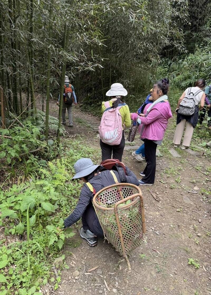 教育部攜手清大創意推食農教育，以「白蘭溪古道覓食記—泰雅野菜鍋食農教育課程探究」為主題辦工作坊，帶領教師等學員採摘野菜。（教育部提供）