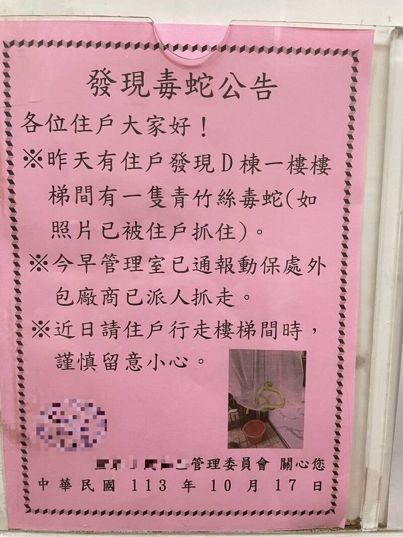 左营区自由二路与明诚二路口某社区大楼公告,昨在D栋1楼梯间发现1尾青竹丝,已抓起交由动保处外包厂商。(住户提供)
左营区自由二路与明诚二路口某社区大楼公告,昨在D栋1楼梯间发现1尾青竹丝,已抓起交由动保处外包厂商。(住户提供)