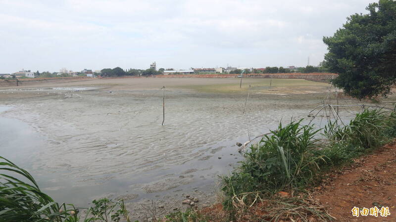 桃園大圳11-2號池塘施工洩除池水，連日傳出死魚惡臭，周邊居民不堪其擾。 （記者黃政嘉攝）