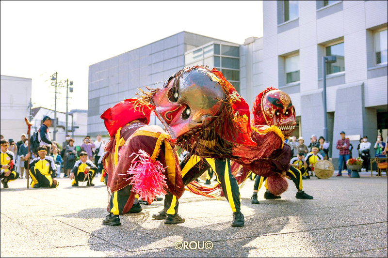 本淵寮朝興宮金獅陣，參加日本「三陸國際藝術節」，3獅共舞難得一見。（朝興宮提供）