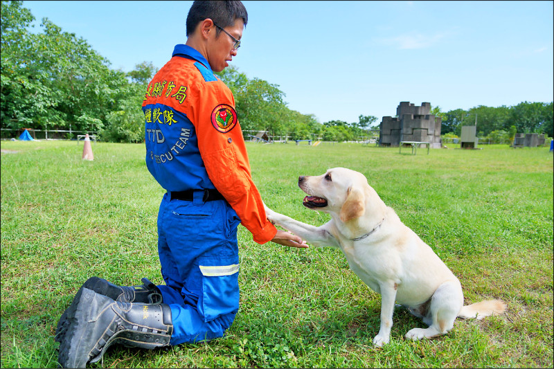 搜救犬「初二」是隻五歲的拉不拉多犬，參加過花蓮震災搜救等重大案件，卻因髖骨健康因素被醫生要求退役，被分配到初二的領犬員張欽勇即將要前往南投受訓，他說，「牠像我的女兒一樣，也曾是生死交關的伙伴，現在就像嫁女兒一般，要謹慎為牠找到好人家」，開放領養期間目前暫定至本月底。（圖文：記者劉人瑋）