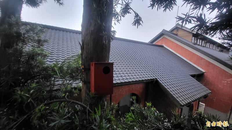 台南山上花園水道博物館與台南市野生動物保育學會合作，在園區內設置測巢箱 ，為貓頭鷹等野生動物提供飯店級管家服務。（記者劉婉君攝）