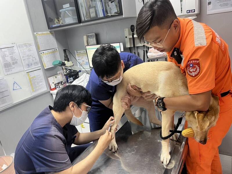 守護海巡偵搜犬健康，高市動保處、獸醫師公會第四度簽署合作。（圖由海巡署南部分署提供）