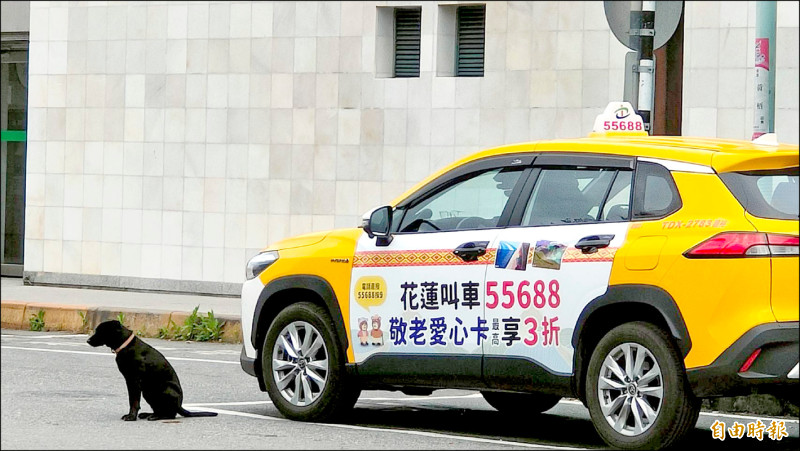 花蓮縣政府今年3月針對65歲以上銀髮族及身障者推出敬老計程車。（記者王錦義攝）