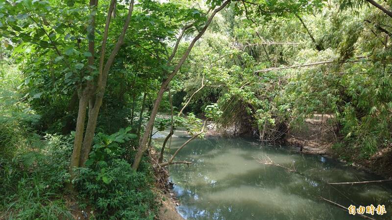 哈赫拿爾森林揭開神秘面紗。（記者洪瑞琴攝）