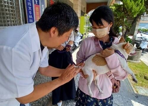 飼主每年應為犬貓注射狂犬病疫苗，動保處截開辦犬貓狂犬病疫苗及晶片巡迴注射活動。（動保處提供）