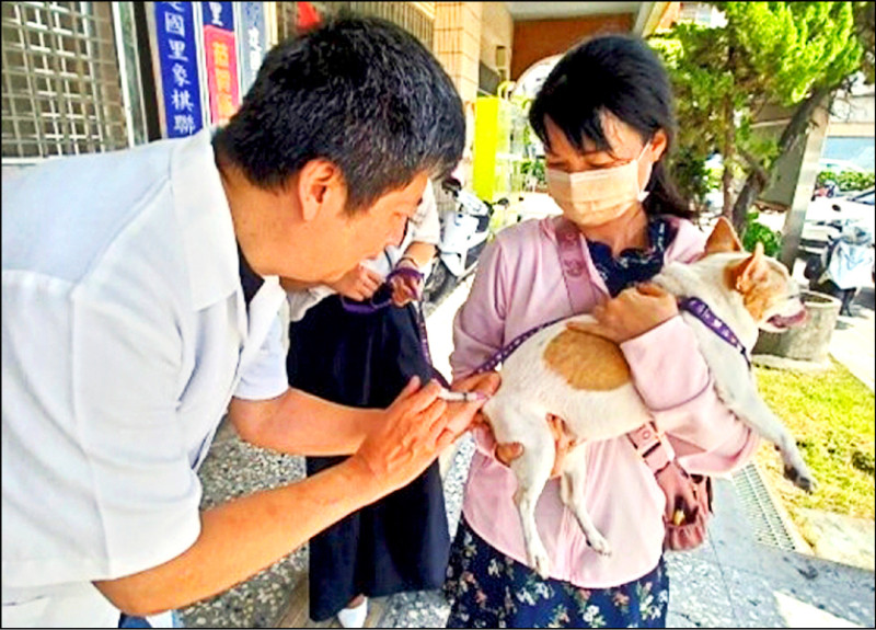 飼主每年應為犬貓注射狂犬病疫苗，圖為動保處開辦犬貓狂犬病疫苗及晶片巡迴注射活動。（動保處提供）