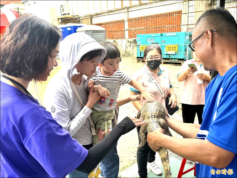 大人抓著大鱷魚給小朋友撫摸，畫面逗趣。（記者蔡宗勳攝）