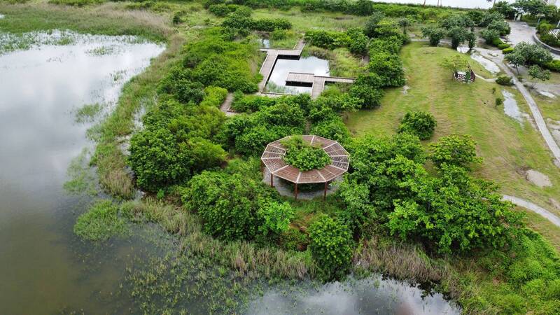 茄萣濕地賞鳥季登場。(市府提供、陸岡寧攝) 茄萣濕地賞鳥季登場。(市府提供、陸岡寧攝)