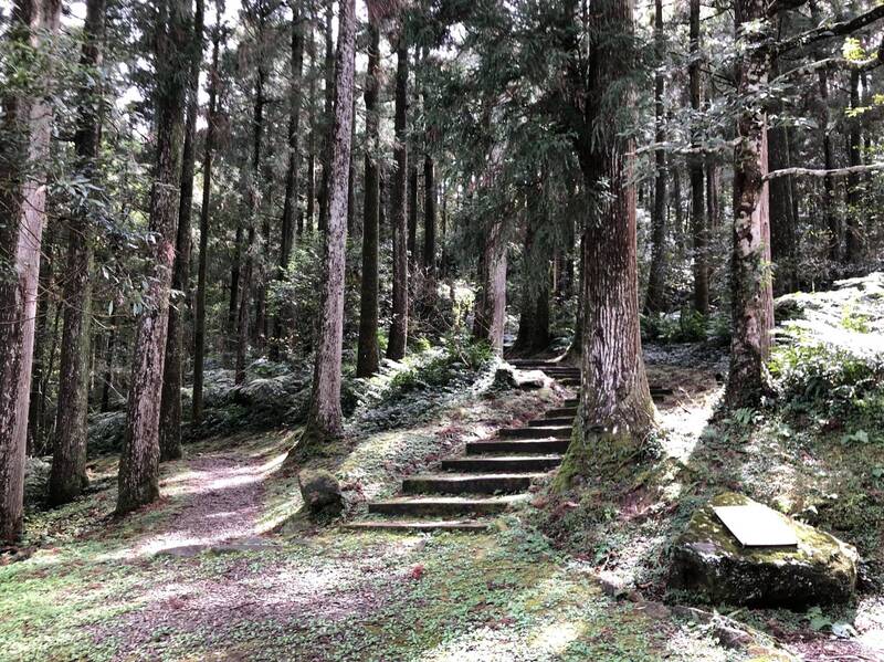 桃園市東眼山國家森林遊樂區明日起預警性休園，自然步道一併暫停開放。（圖擷取自林業及自然保育署新竹分署官網）