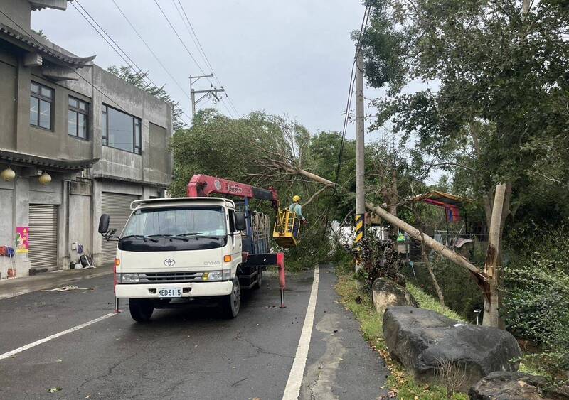 康芮颱風在台中颳起陣陣強風，太平區北田路今天上午出現路樹倒塌，公所通知廠商迅速清除恢復通行。（記者陳建志翻攝）