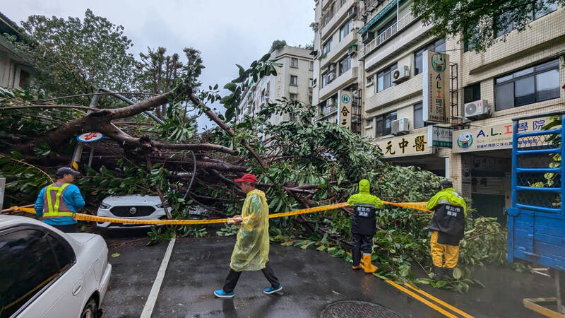 颱風康芮襲台，中央災害應變中心統計，截至今日上午在全台造成118件災情，新北市永和區上午2小時內先後發生2起路樹傾倒意外。（記者鄭景議翻攝）