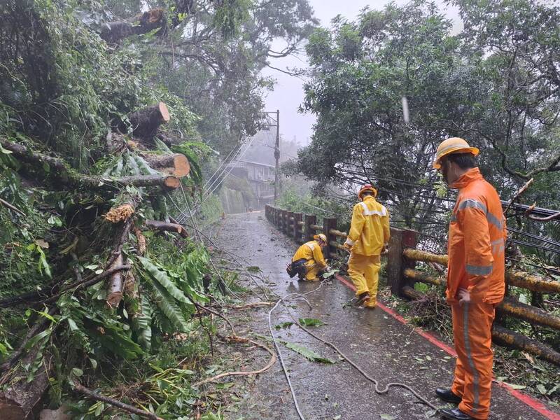 台電北南區處搶修人員，冒著風雨砍除壓倒高壓電線的路樹，修復供電線路。（台電北南區處提供）