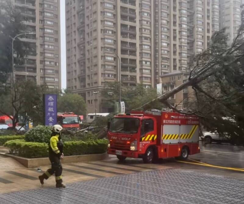 康芮颱風影響，新北北大特區的路樹砸到前來支援的消防車。（yun.7177_/threads授權提供）