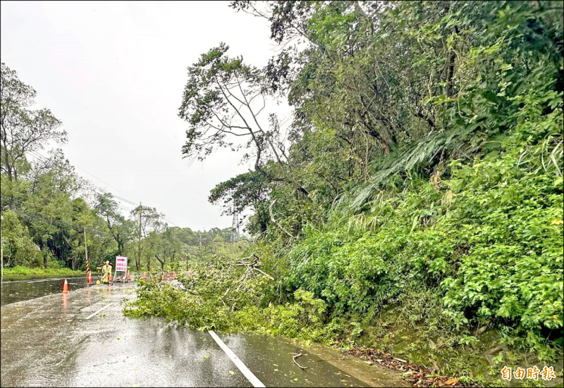 台三線橫山鄉中豐路3段65公里處路樹倒塌，正好擊中一輛行駛中轎車，所幸車內人員沒有受傷。（記者廖雪茹攝）