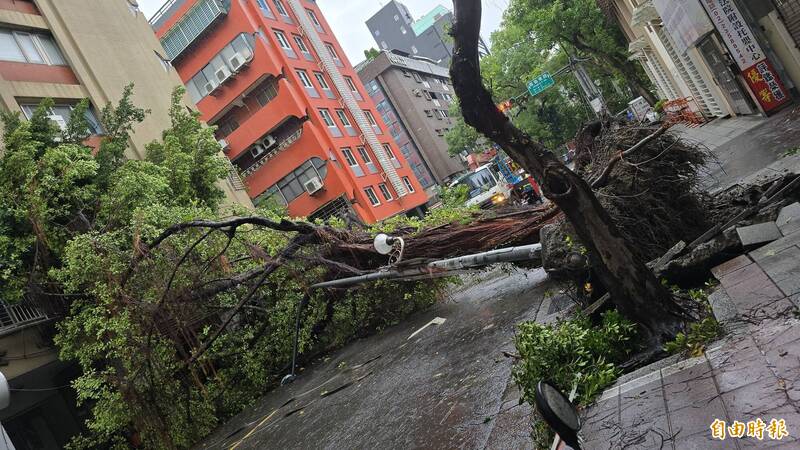 立法院今晨周遭多處路樹倒塌。（記者方瑋立攝）