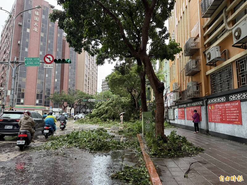 康芮造成北市許多路樹倒塌，1日上午尚未清除完畢。（記者甘孟霖攝）