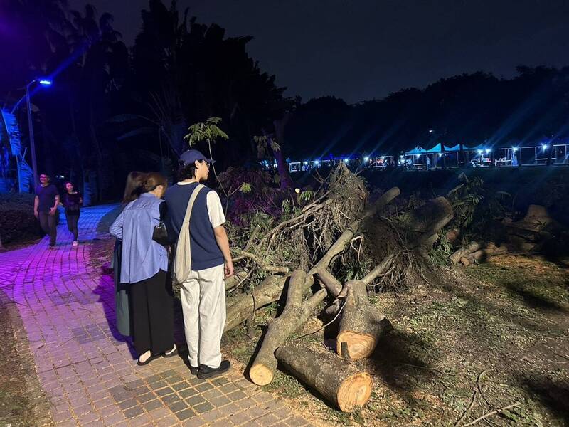 台北市議員顏若芳說，參與白晝之夜的民眾，對大安森林公園內殘枝敗葉的興趣似乎高過藝術創作品。（台北市議員顏若芳辦公室提供）