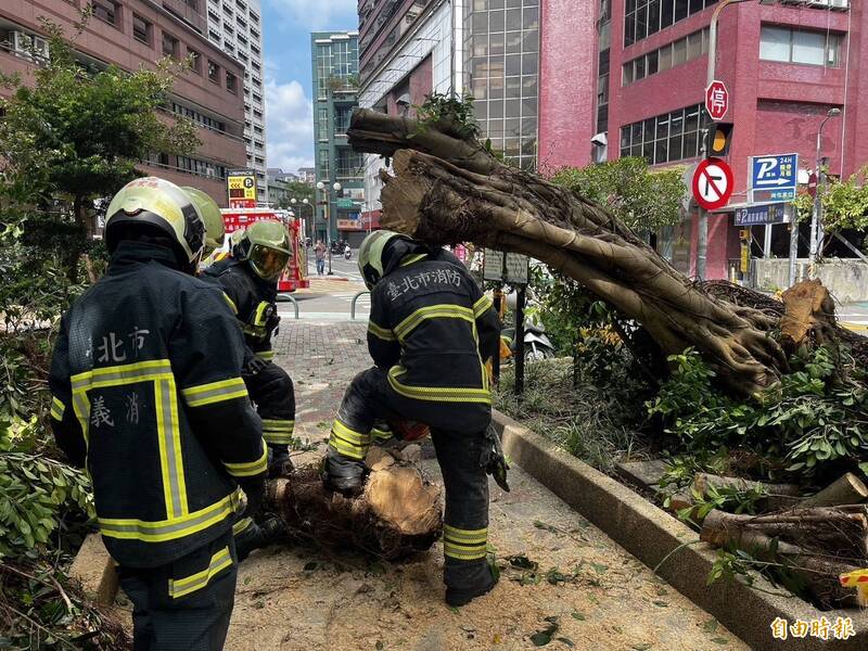 台北市今天動員警消、義消清運倒塌路樹。（記者姚岳宏翻攝）