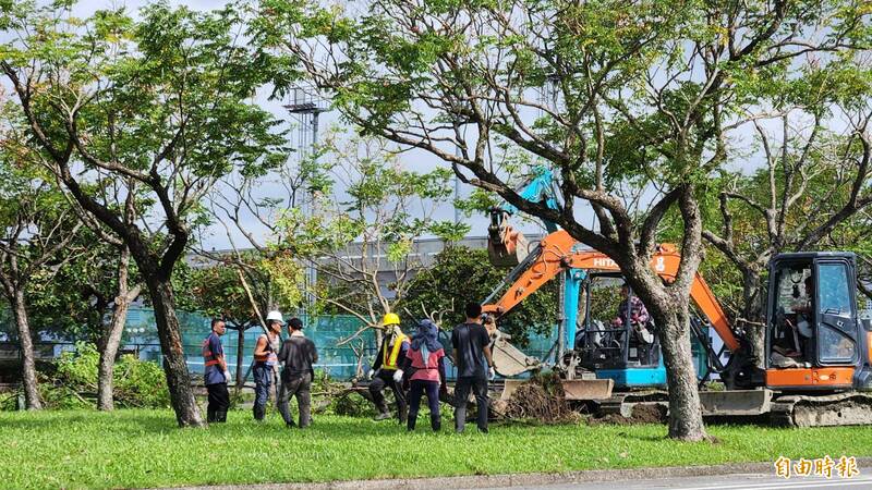 康芮颱風遠離，但對宜蘭、羅東運動公園造成重創，兩園區共有400多棵樹木受損，宜蘭縣立體育場近幾日積極展開復原。（記者游明金攝）