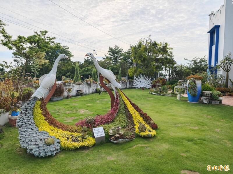 彰化田尾公路花園於11月9日、10日舉辦「Open Garden同樂會」活動，將同步公開多肉好好玩等14家業者私人園區祕境，令人期待。（記者陳冠備攝）