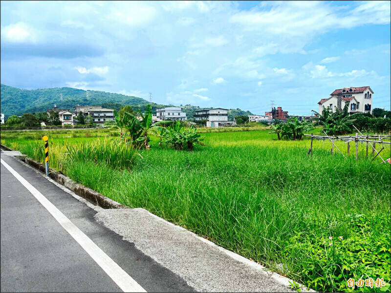 內政部近日也正式公告「國土計畫土地違規使用檢舉獎勵辦法」，檢舉兩公頃以上大規模違規使用土地，可獲5萬元的獎金，至於30萬元罰鍰以下的小面積違規檢舉案件，則決定不發給檢舉獎金。（資料照）