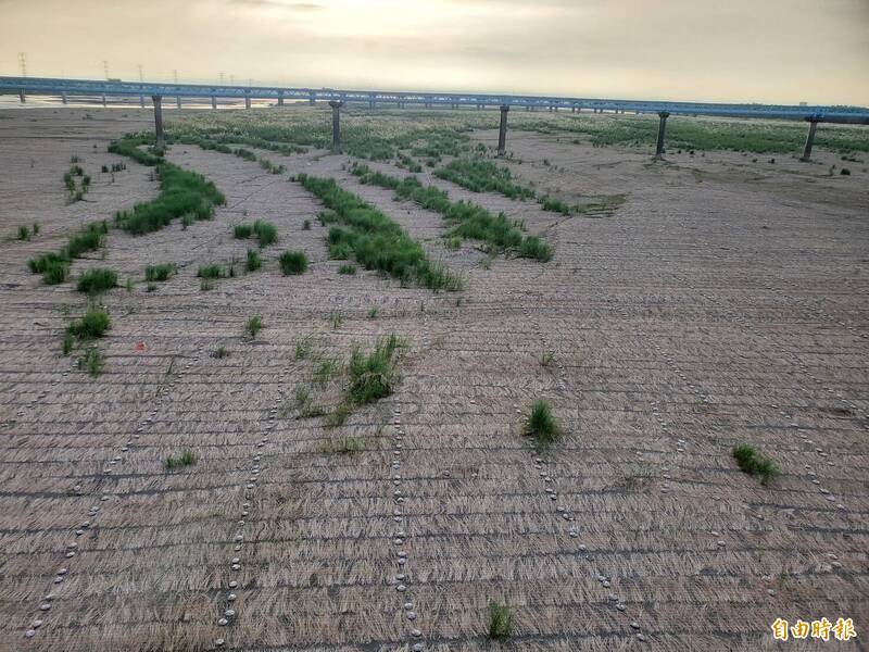 水利署第四河川分署在西螺大橋下裸露地鋪設稻草蓆抑制揚塵。（記者黃淑莉攝）