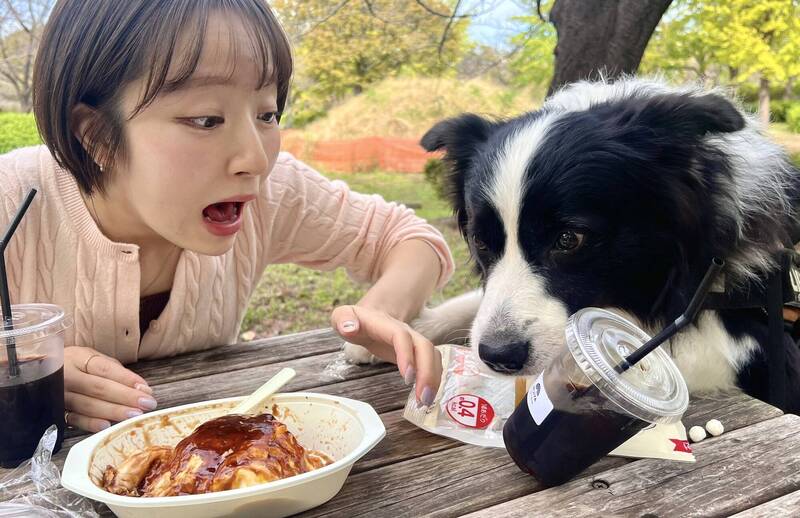 日本一名養著邊境牧羊犬的女飼主，日前在室外餐桌吃飯時，猝不及防被愛犬給偷襲成功，一旁同伴則將事發瞬間快速拍下來。（圖擷取自@kutsuzawa_desu 社群平台「X」）