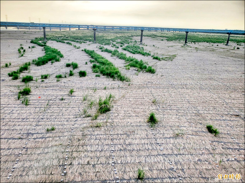 水利署第四河川分署在西螺大橋下裸露地鋪設稻草蓆抑制揚塵。（記者黃淑莉攝）