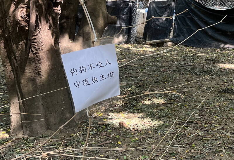 台南哈赫拿爾森林旁有不少遊蕩犬,還有貼告示「狗狗不咬人.守護無主墳」。(圖由林美燕提供) 台南哈赫拿爾森林旁有不少遊蕩犬,還有貼告示「狗狗不咬人.守護無主墳」。(圖由林美燕提供)