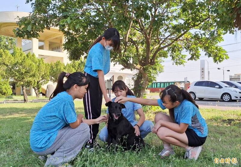 港墘國小學生與校犬黑妞玩耍。（記者林宜樟攝）