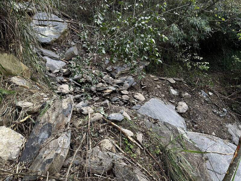 山友抱怨，尖石養老的步道入口未見暫停開放的相關公告，他們在不知情下進入，走不到2公里、見20.5公里出現間歇性坍方，隨即原路撤出下山。（山友提供）