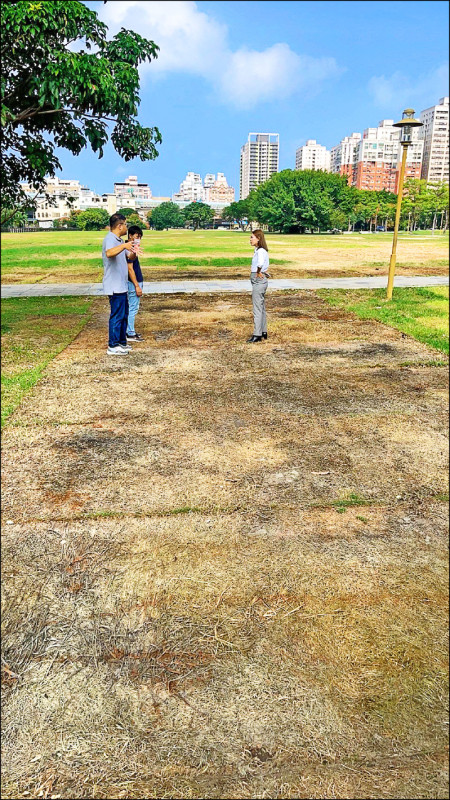 新竹市城銷處的環境維護費暴增，但公園草地枯死一大片，綠營議員批市府行政怠惰。（竹市議員楊玲宜提供）