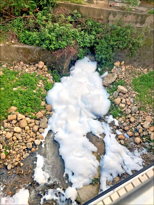 龜山區大坑溪出現大量白色泡沫。（桃園市議員錢龍提供）