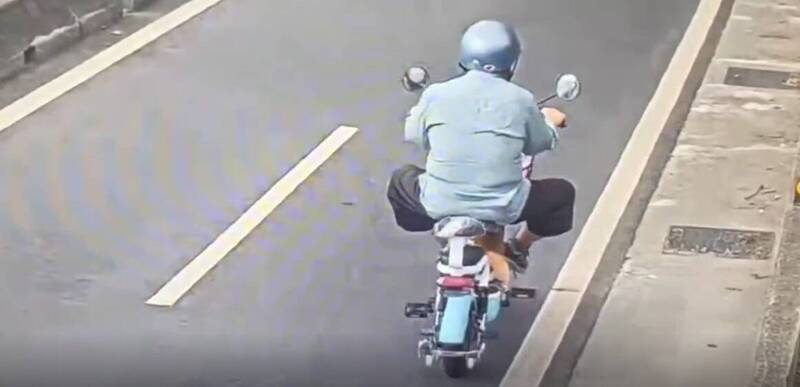 寵物柴犬在車禍中嚇得逃竄 警圓滿完成「尋狗任務」