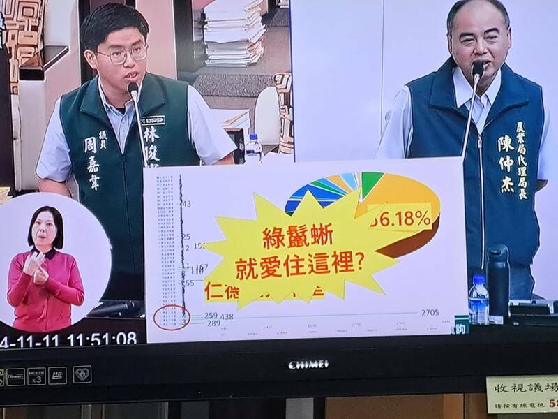 南市議員周嘉韋指南市上半年逾56%綠鬛蜥都在仁德大甲里捕獲，莫非綠鬛蜥就愛住這裡？農業局代理局長陳仲杰說，會來檢討。 （記者蔡文居翻攝）