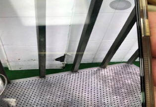 台北市衛生局前往士福美食公司稽察,發現牆壁油漆剝落。(台北市衛生局提供) 台北市衛生局前往士福美食公司稽察,發現牆壁油漆剝落。(台北市衛生局提供)