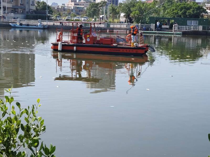 南市運河段日前因溶氧偏低造成大量死魚，環保局進行打撈，南市水利局計畫引安平水資源中心的回收水進入運河，改善水質。（圖由吳姓市民提供）