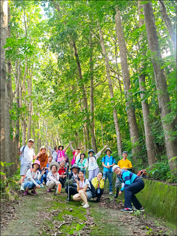 湯姆生文化路徑途經漂亮的桃花心木林。（客委會提供）