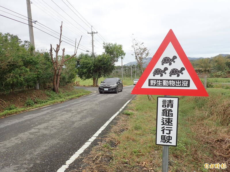 縣道193公路花蓮光復鄉東富村路段出現超萌烏龜路牌，提醒「請龜速行駛」，上頭還有3隻龜龜，社區希望提醒駕駛人開慢一點，才來得及反應踩煞車。（記者花孟璟攝）