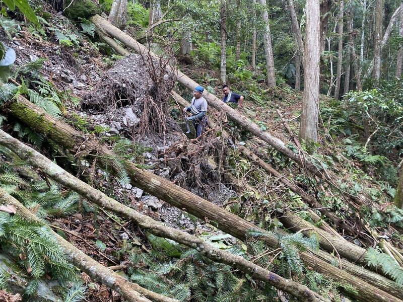 玉山東部園區瓦拉米步道，康芮颱風過後出現多處樹倒、崩坍，目前仍封閉無法通行。（玉管處提供）