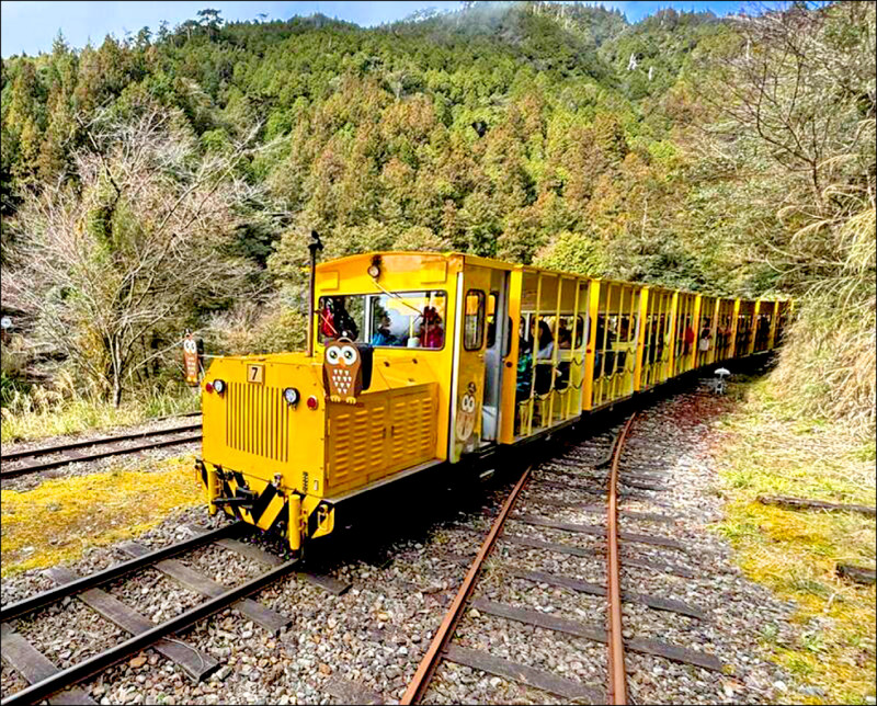 太平山森林遊樂區今天上午八點恢復開園，蹦蹦車首班車發車時間改為上午9點。（林業保育署宜蘭分署提供）