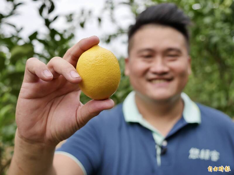 型農莊承翰導入AI檸檬選別,相對人工效率提高6倍,準確率超過9成5。(記者陳文嬋攝) 型農莊承翰導入AI檸檬選別,相對人工效率提高6倍,準確率超過9成5。(記者陳文嬋攝)